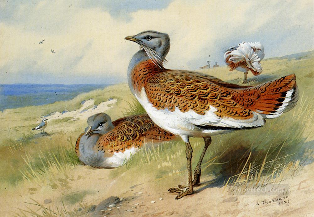 Great Bustards Archibald Thorburn bird Oil Paintings
